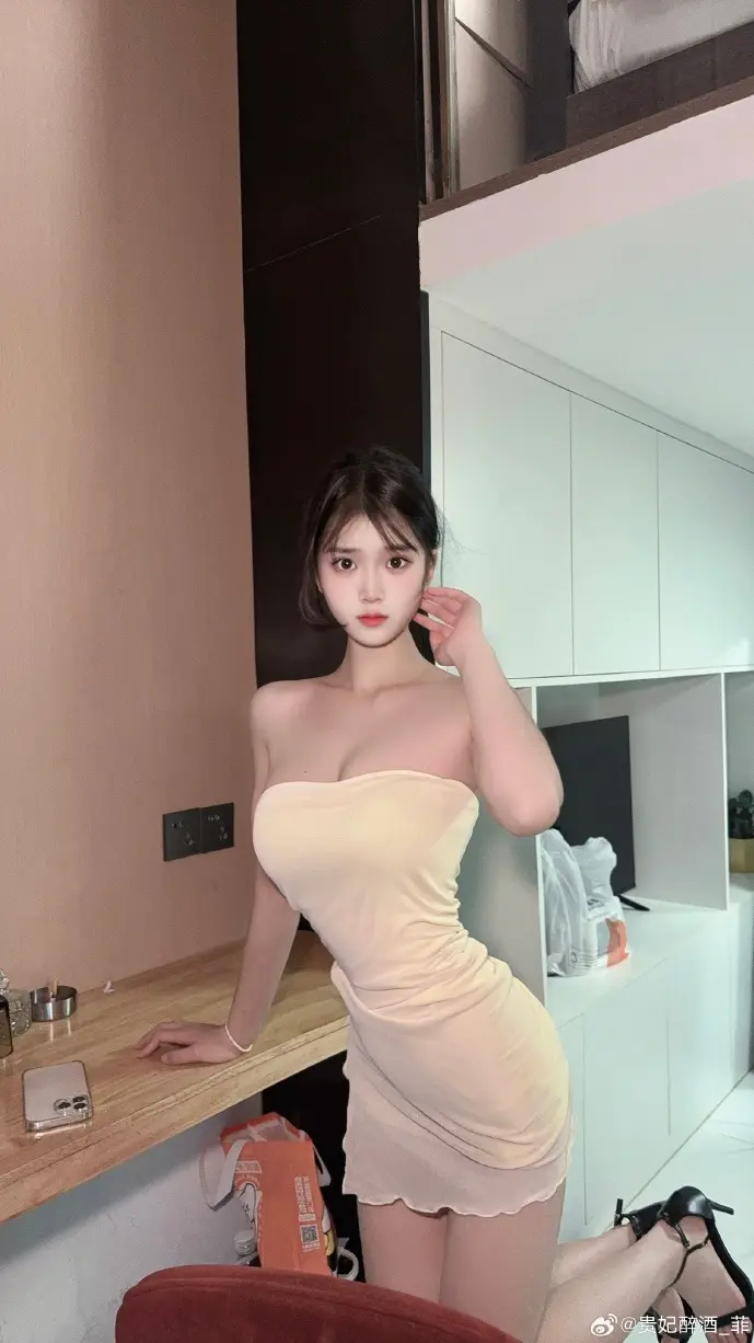 下载浏览器I界面示意图