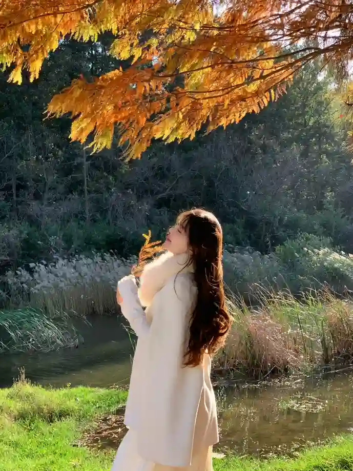 字体版权对比图